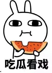 娱乐嗨吃瓜君,揭秘娱乐圈最新热点事件