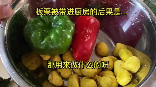 娱乐吃瓜酱做核酸,共筑健康防线